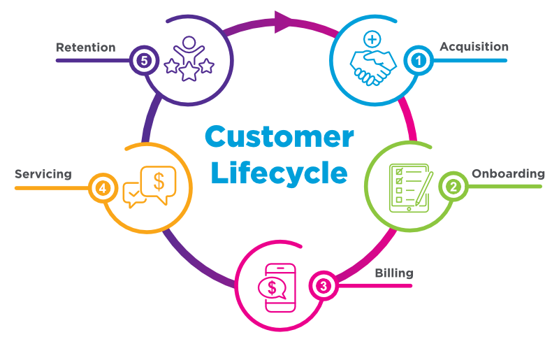 Customer Lifecycle Management | Which50